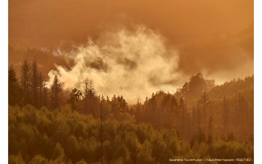 Wisps of mist over the autumnal forest.