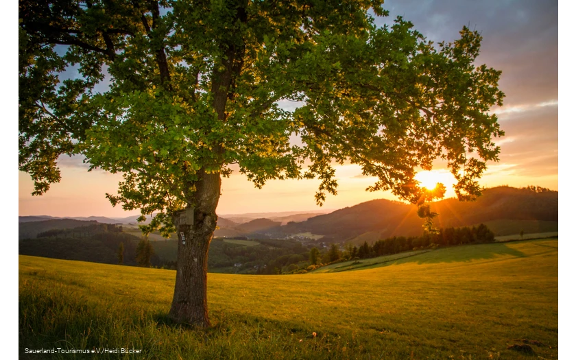 Sunset over Sauerland landscape in spring.