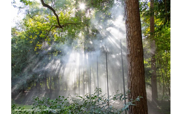 Cloud forest5©City of Lippstadt_Sandra Püttmann.jpg