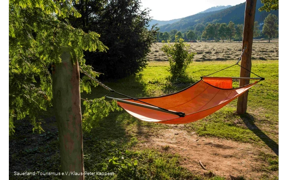 A hammock in the TalVITAL spa park in Sahlhausen