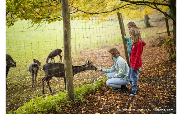 Mutter und zwei Kinder beobachten Wild hinter einem Zaun. Mutter füttert ein Reh.