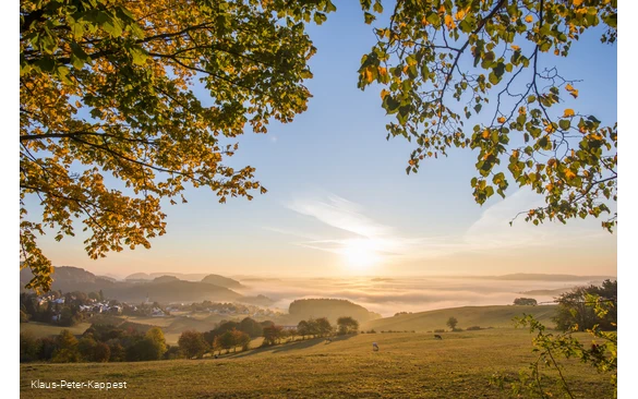 Rothaarsteigverein e.V._Klaus-Peter Kappe (4) (1).jpg