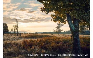 View over the autumnal landscape of the Kahler Asten.