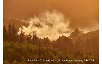 Wisps of mist over the autumnal forest.