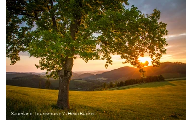 Sonnenuntergang über Sauerländer Landschaft im Frühling.