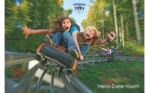 Two people at a time ride down the summer toboggan run. They have their mouths wide open and their arms in the air.
