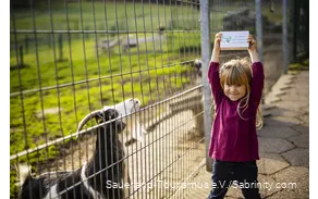 Girl holding up animal feed next to a goat
