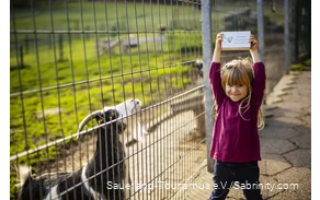 Girl holding up animal feed next to a goat