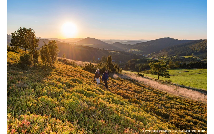 Two hikers in the autumn sunshine.