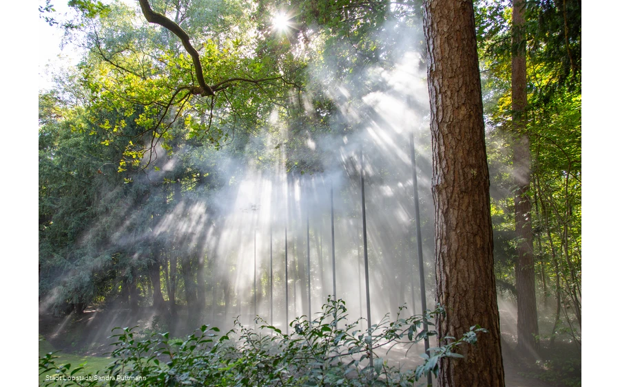 Cloud forest5©City of Lippstadt_Sandra Püttmann.jpg