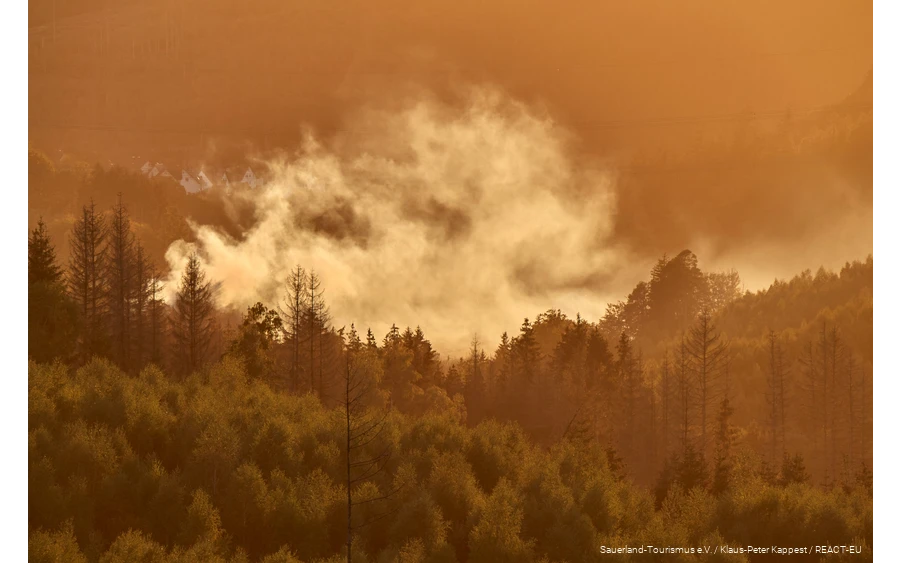 Wisps of mist over the autumnal forest.