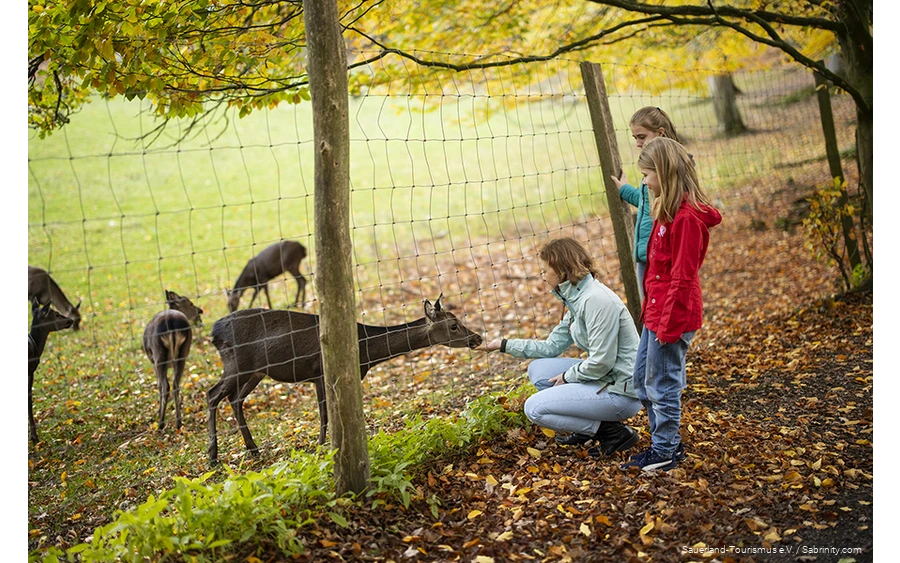 Moeder en twee kinderen kijken naar wild achter een hek. Moeder voert een hert.