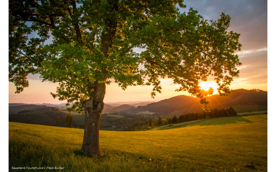 Sunset over Sauerland landscape in spring.