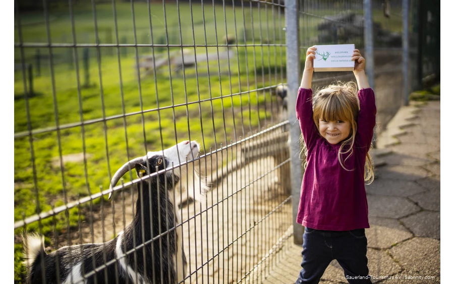 Mädchen hält neben einer Ziege Tierfutter hoch
