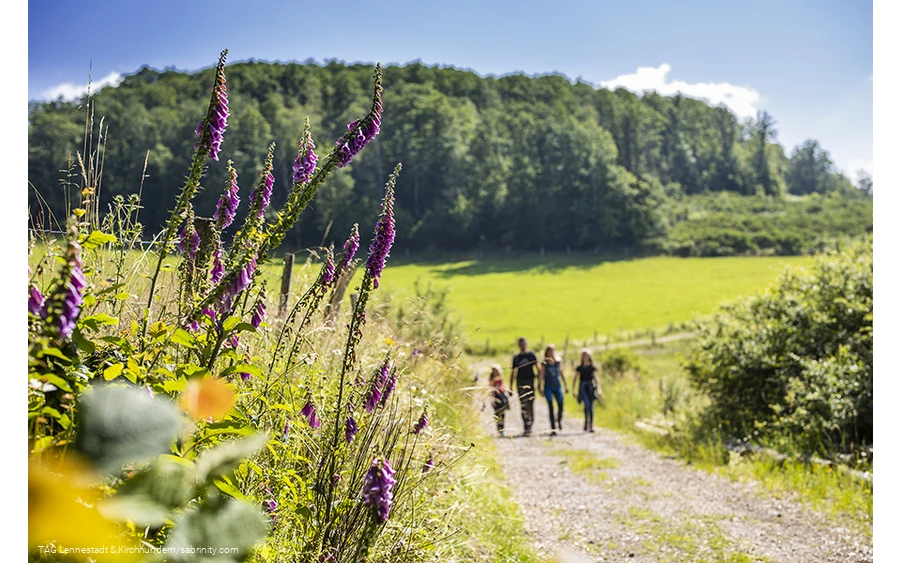Wandelen in Lennestadt en Kirchhundem
