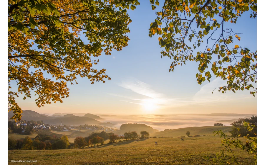 Rothaarsteigverein e.V._Klaus-Peter Kappest (4) (1).jpg