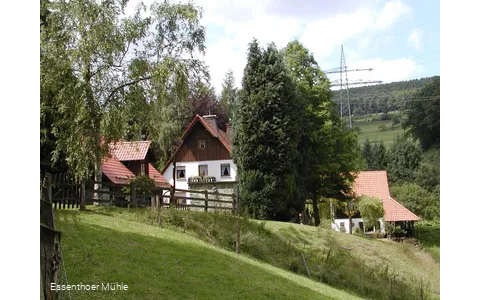 Vogelpflegestation für Greifvögel und Eulen