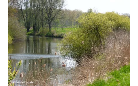 "Altarm" der Lippe