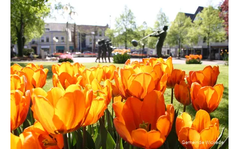 Town center7.jpg