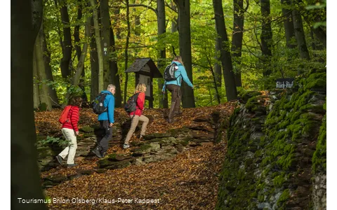 Wandelgroep
