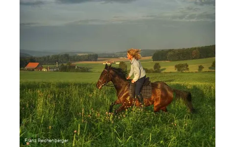 Frau auf Pferd