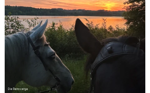 Reitzwerge Sonnenuntergang.jpg