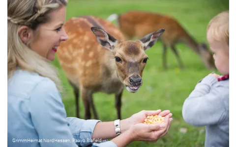 Wildpark Frankenberg (Eder)
