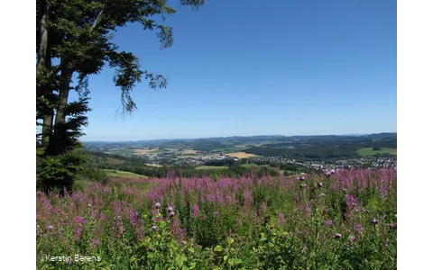 Blick auf Neuenrade