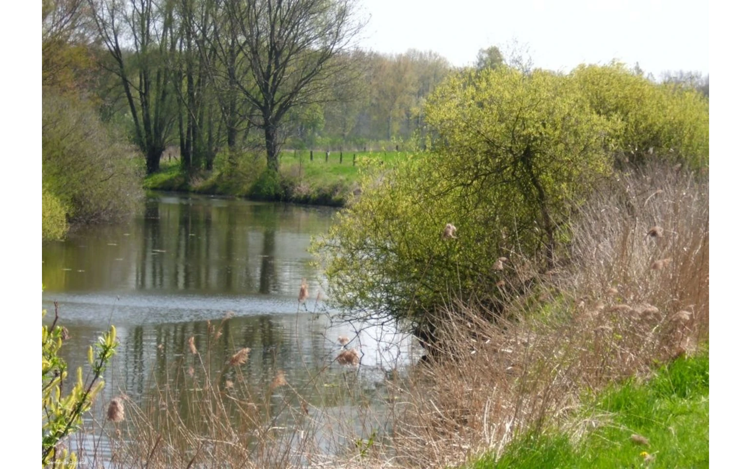 "Altarm" der Lippe