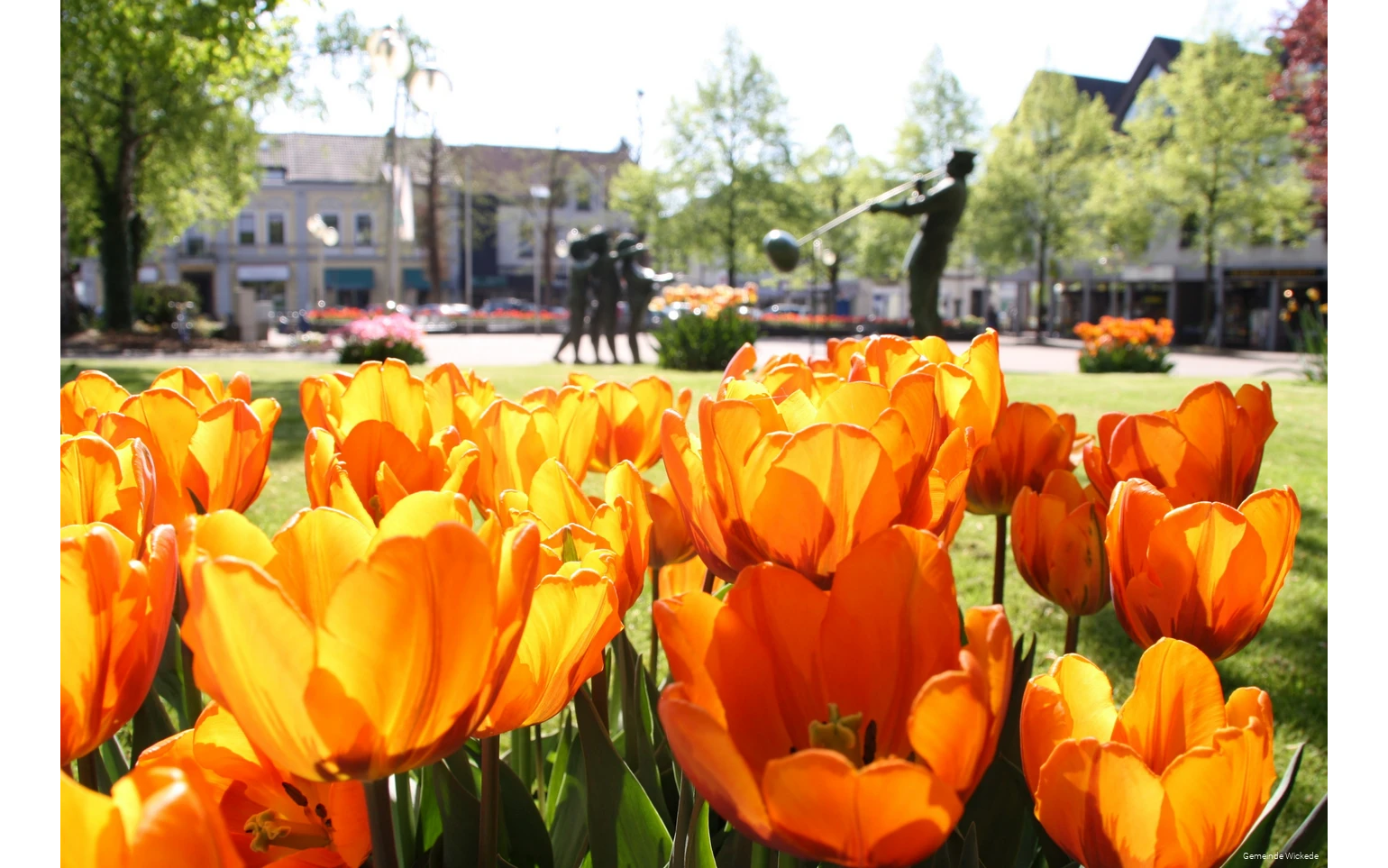 Town center7.jpg