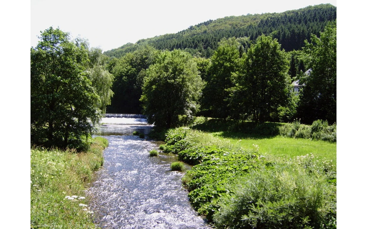 Ruhr bei Bestwig