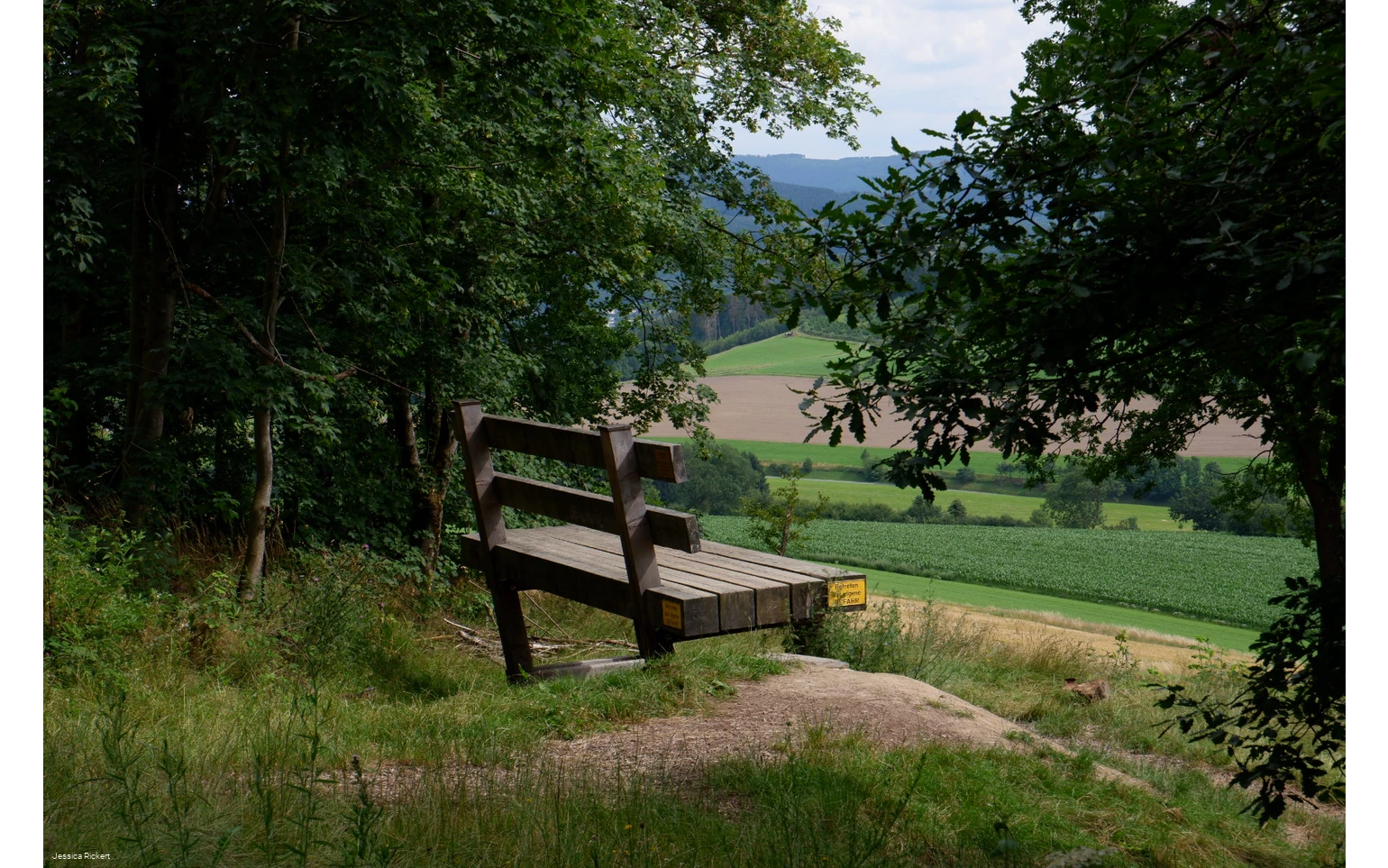 Riesen Bank bei Eversberg 1 © Jessica Rickert.jpg