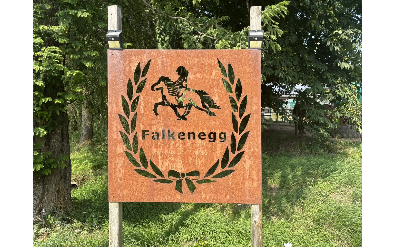 Falkenegg_Logo