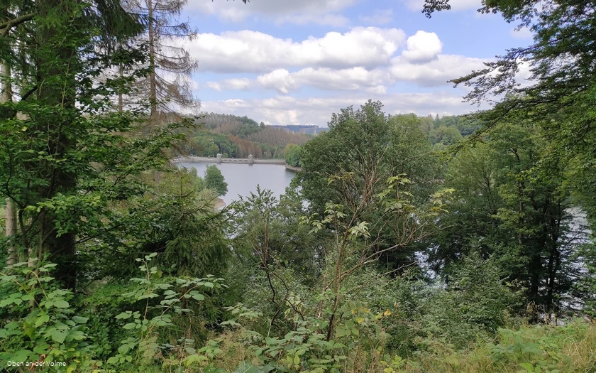 Blick von oben auf die idyllische Fürwiggetalsperre