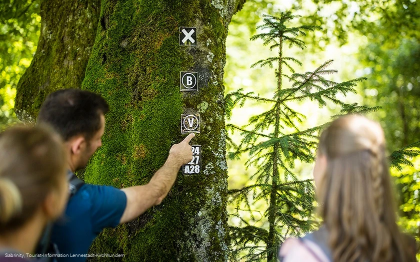 Wegemarkierung Veischeder Sonnenpfad