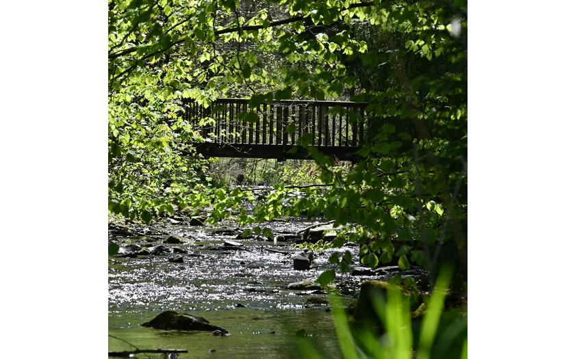 Elpebach in Ostwig