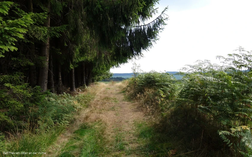 Wir verlassen die waldreichen Wegespassagen...