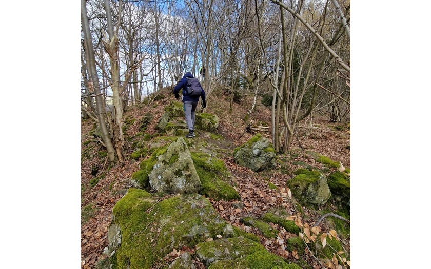 Pfad Bestweg Ostwig Steinberg