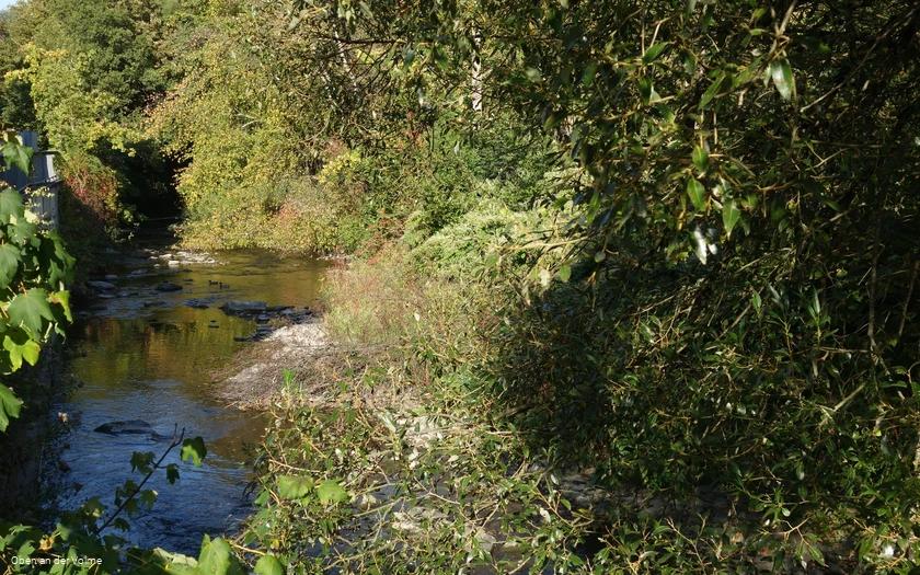 Die Volme in Dahlerbrück