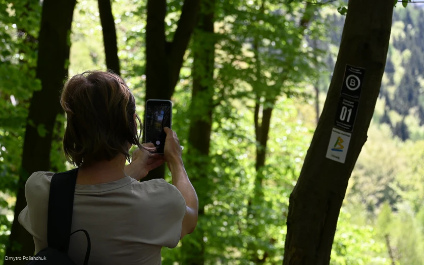 Fotospot am Wanderweg in Ostwig