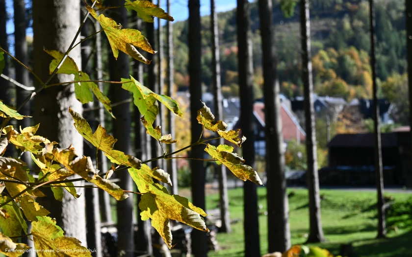 Ostwig - Ausblick auf den Ort