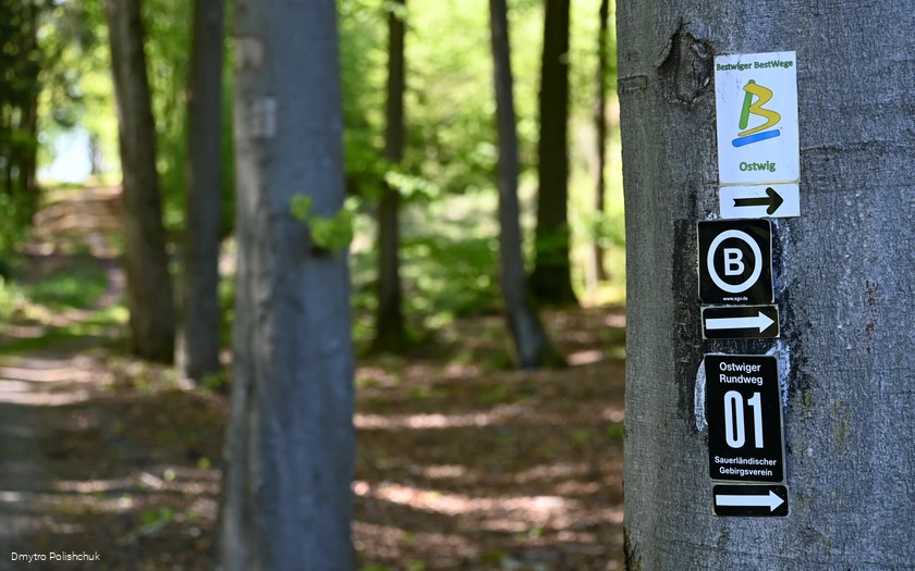 Wegweiser Bestwiger BestWeg Ostwig in Richtung des Steinberges