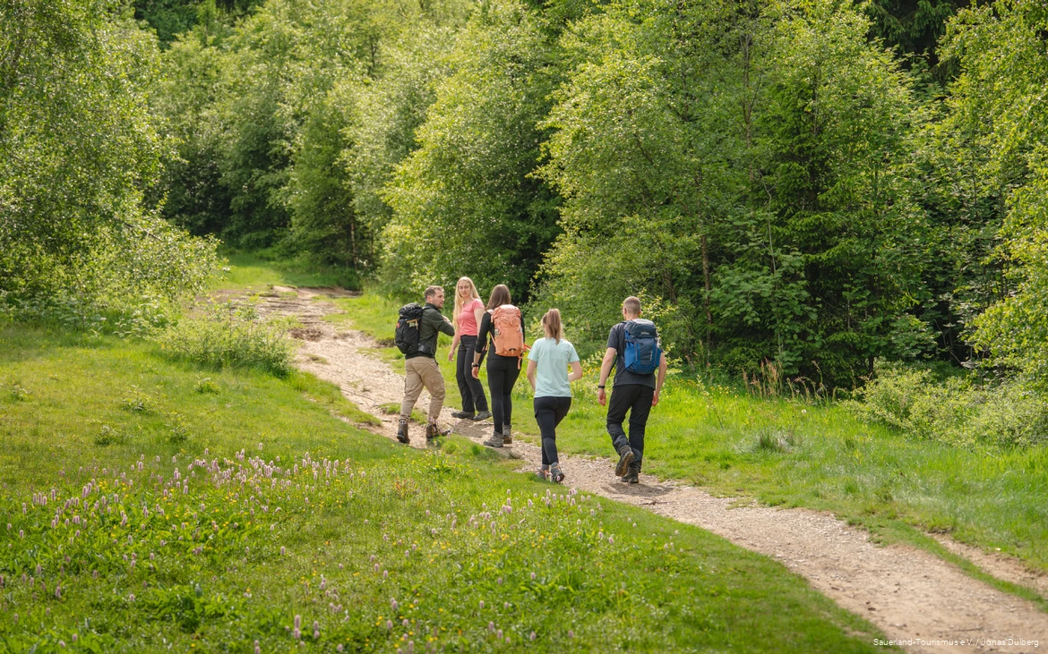 Fünf junge Wanderer in Outdoorkleidung wandern einen Berg hinauf. Die Bäume leuchten grün und auf der Wiese blühen Blumen.