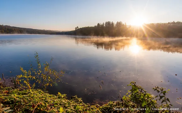Zonsopgang bij het Hevesee in het natuurpark Arnsberg Woud.