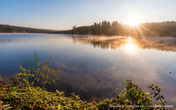 Zonsopgang bij het Hevesee in het natuurpark Arnsberg Woud.