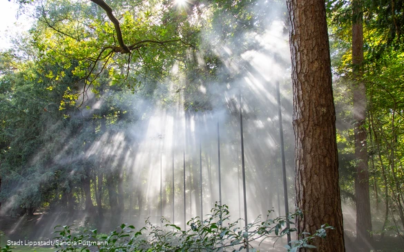 Cloud forest5©City of Lippstadt_Sandra Püttmann.jpg