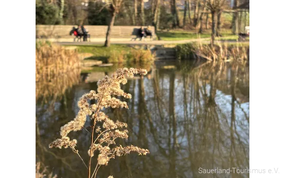 Kurpark