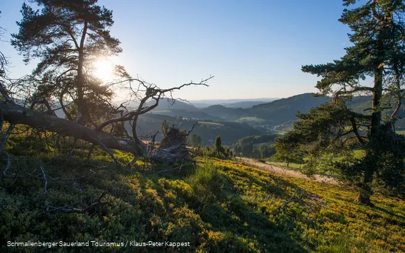 Golddorfroute Oberkirchen 5 Schmallenberger Sauerland Tourismus Klaus Peter Kappest.png