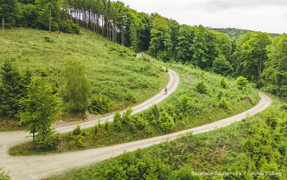 Luftaufnahme von einem Mann auf einem Gravelbike durch grüne Landschaft. Der Weg macht eine 180-Grad-Kurve.