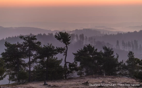 View of the landscape from the Osterkopf near Willingen.